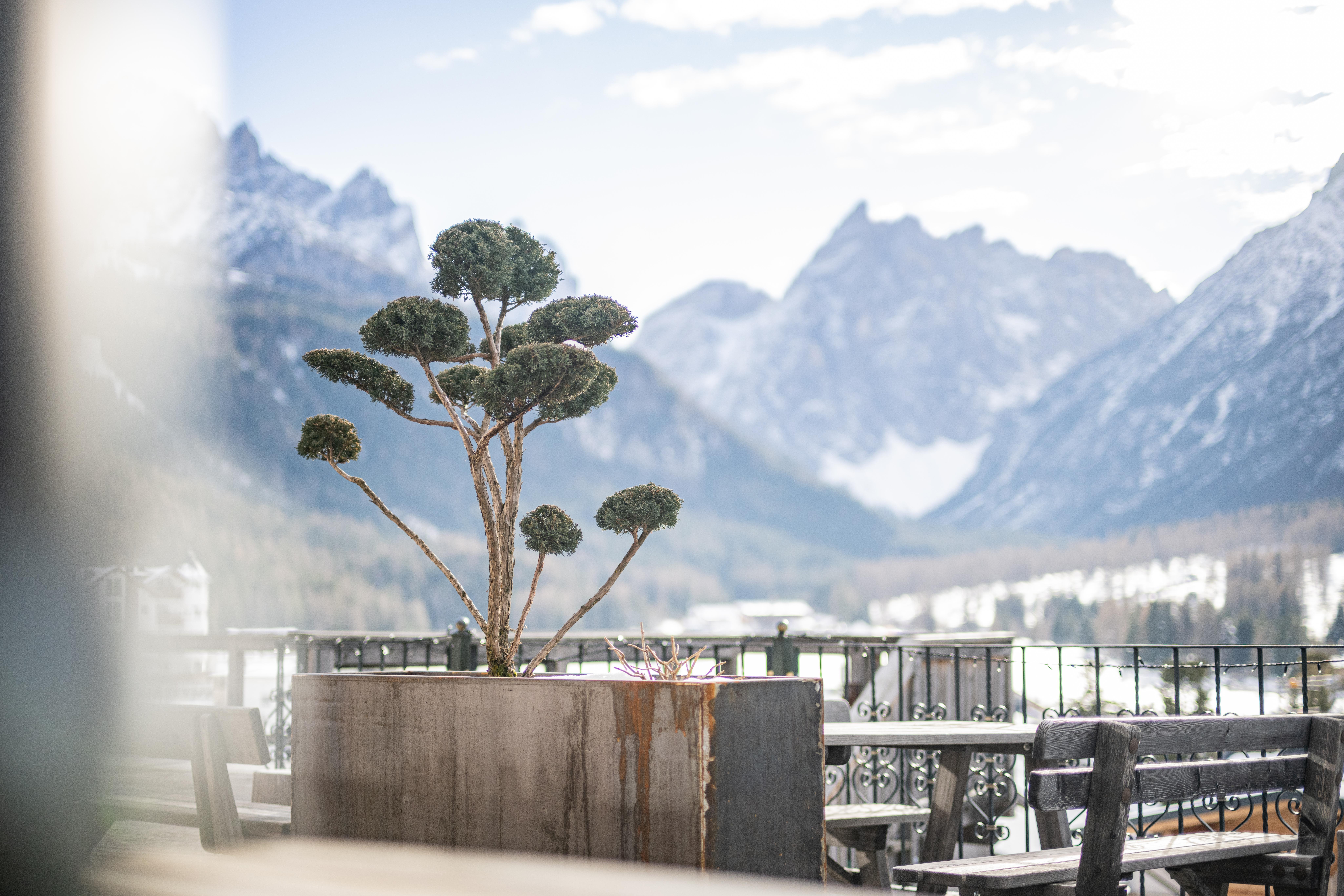 Berghotel - Sexten ภายนอก รูปภาพ
